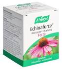 Echinaforce Resistenz-Erkältung forte, Tabletten