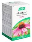 Echinaforce Resistenz-Erkältung forte, Tabletten