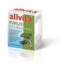 Allvita Pinus Pycnogenol, überzogene Tabletten