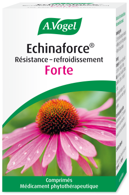 Echinamed forte, cpr (ancien), 40 pce