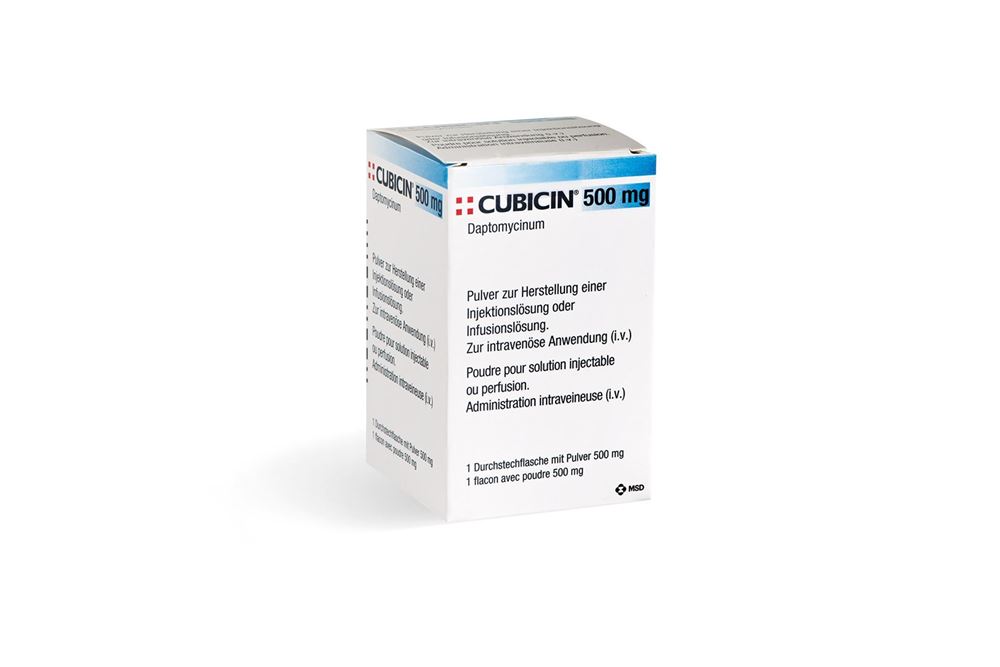 Cubicin 500 mg, Pulver zur Herstellung einer Injektions-/Infusionslösung