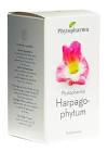 Phytopharma Harpagophytum, gélules