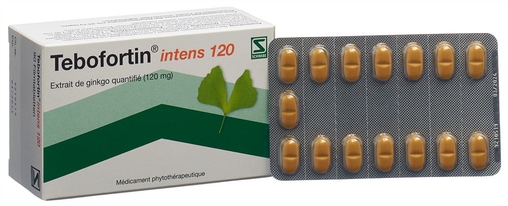 Tebofortin intens 120, Filmtabletten