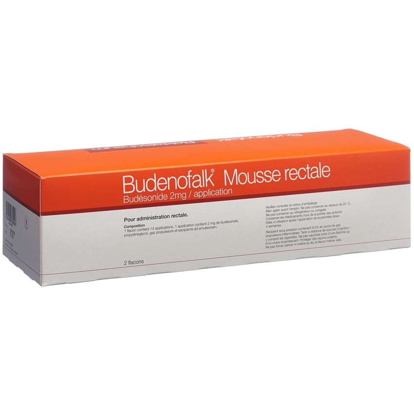 BUDENOFALK mousse rect 2 mg/dose 2 x 14 dos