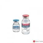 Paracetamol Fresenius 500 mg, Infusionslösung