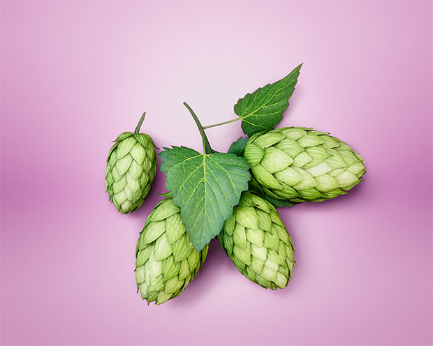 Granufink femina, Hartkapseln