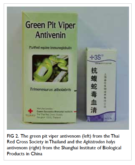 Green Pit Viper Antivenin