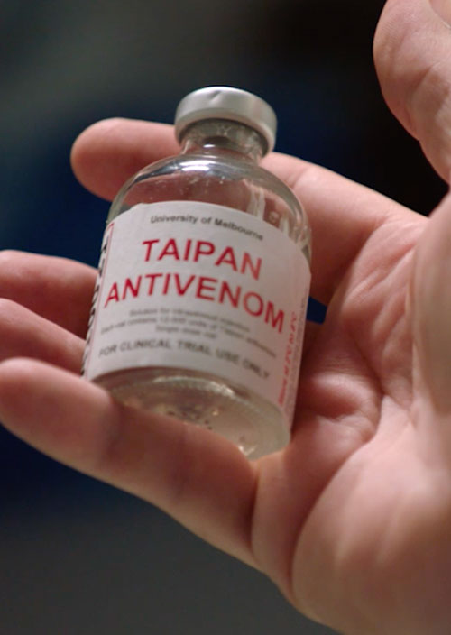 Taipan Antivenom