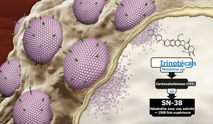 Onivyde liposomal pégylé 4.3 mg/ml, dispersion à diluer pour perfusion
