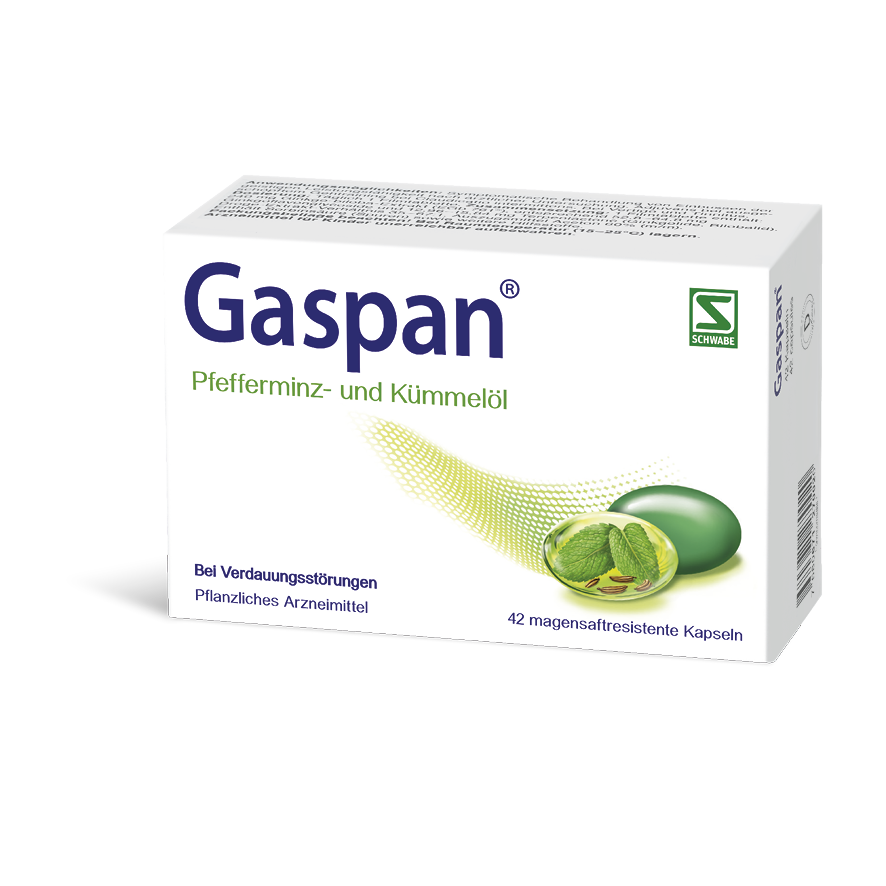 GASPAN caps moll gastro-résistantes 42 pce