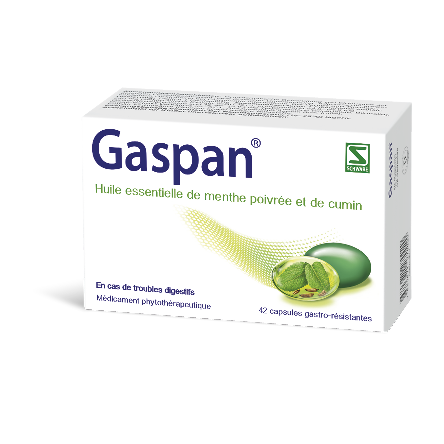 GASPAN caps moll gastro-résistantes 42 pce