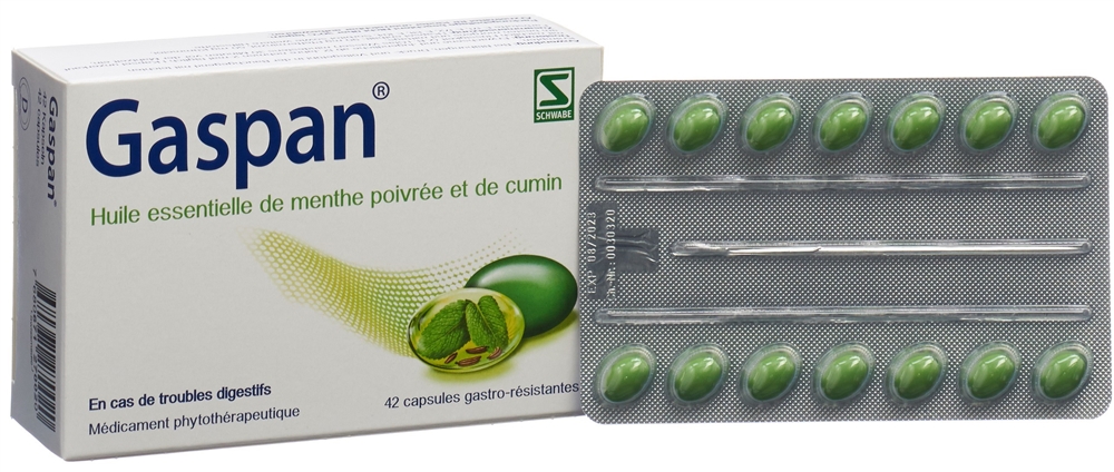 GASPAN caps moll gastro-résistantes 42 pce