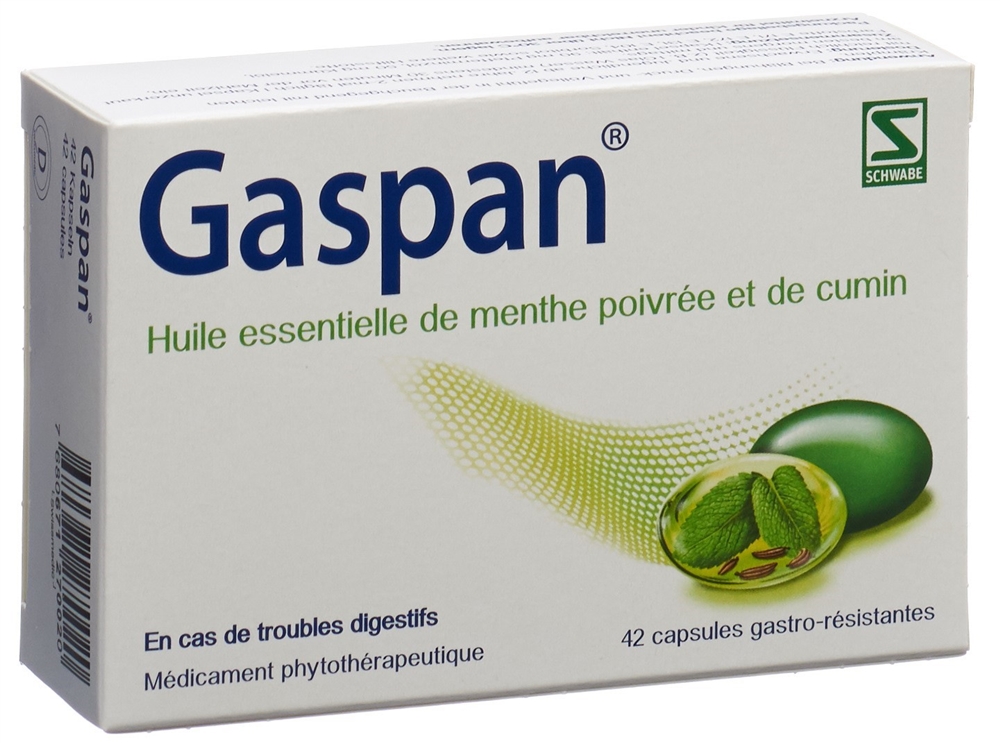 GASPAN caps moll gastro-résistantes 42 pce