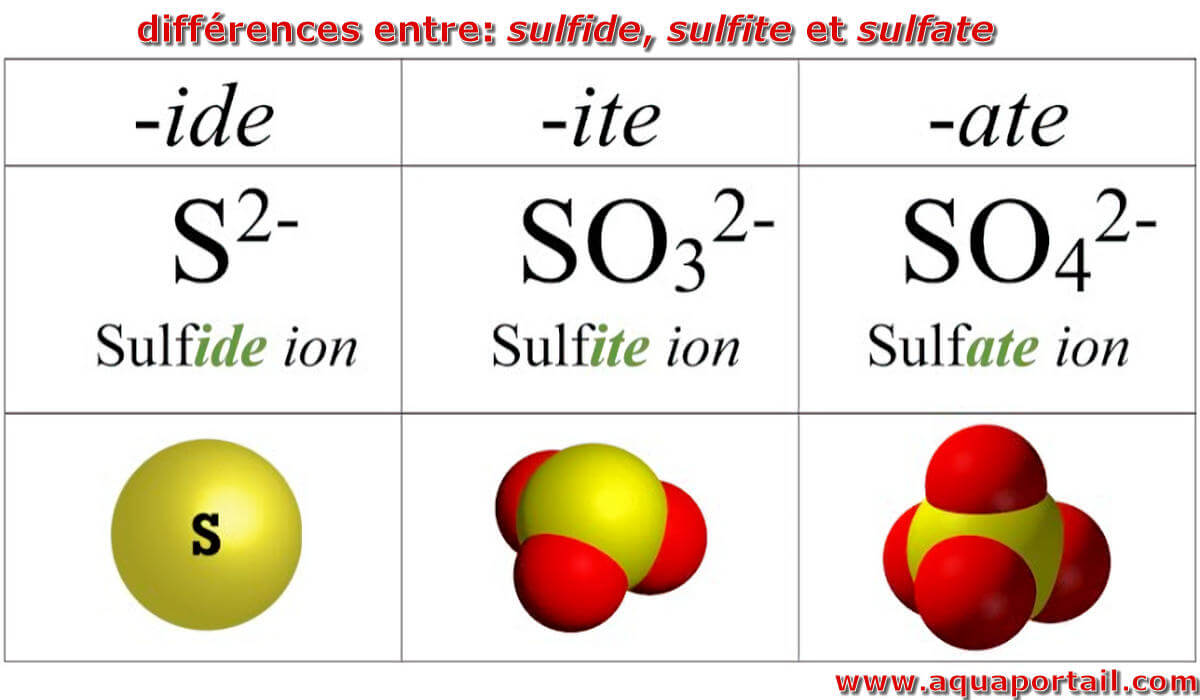 Atropinsulfat 50 mg/100 mL AApot, Injektionslösung