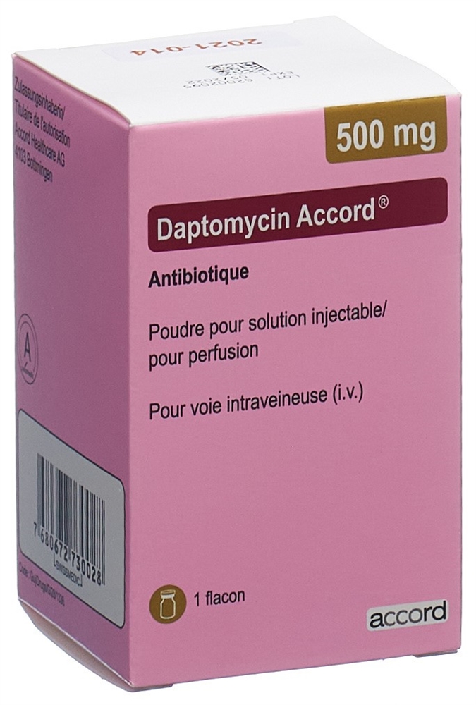 DAPTOMYCIN Accord subst sèche 500 mg flac