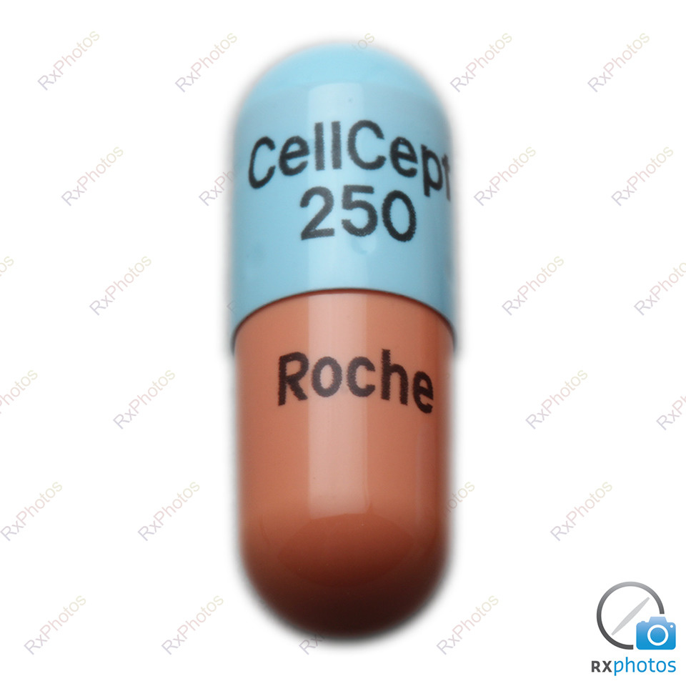 Cellcept 250 mg, Kapseln