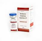 AMIKACIN Ideogen conc perf 1 g/4ml 5 flac 4 ml