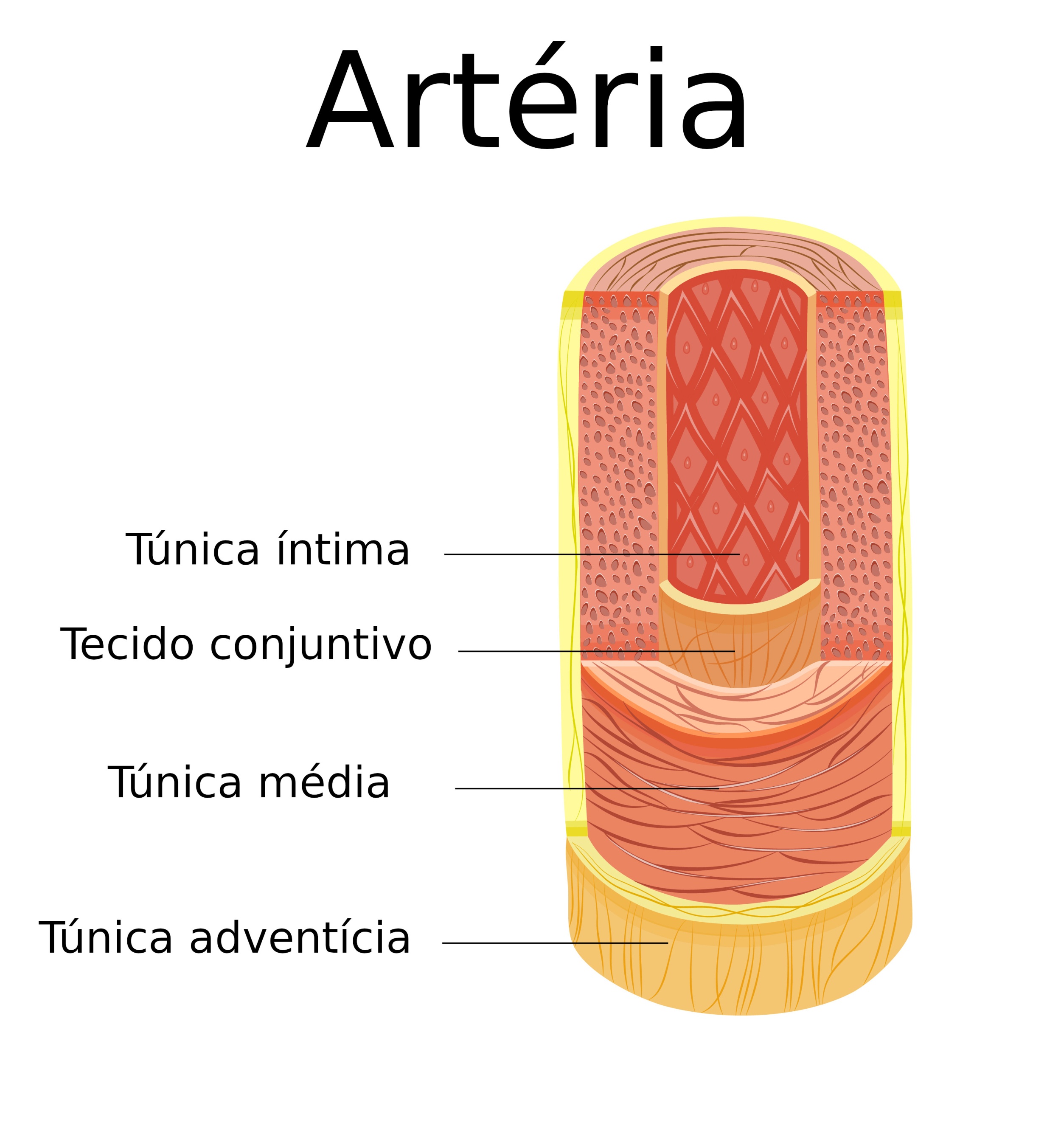 Arteria-vita N, Hartkapseln