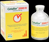 CEFTRIAXON Lagap 2000 mg i.v. / 2000 mg / 10 flaco
