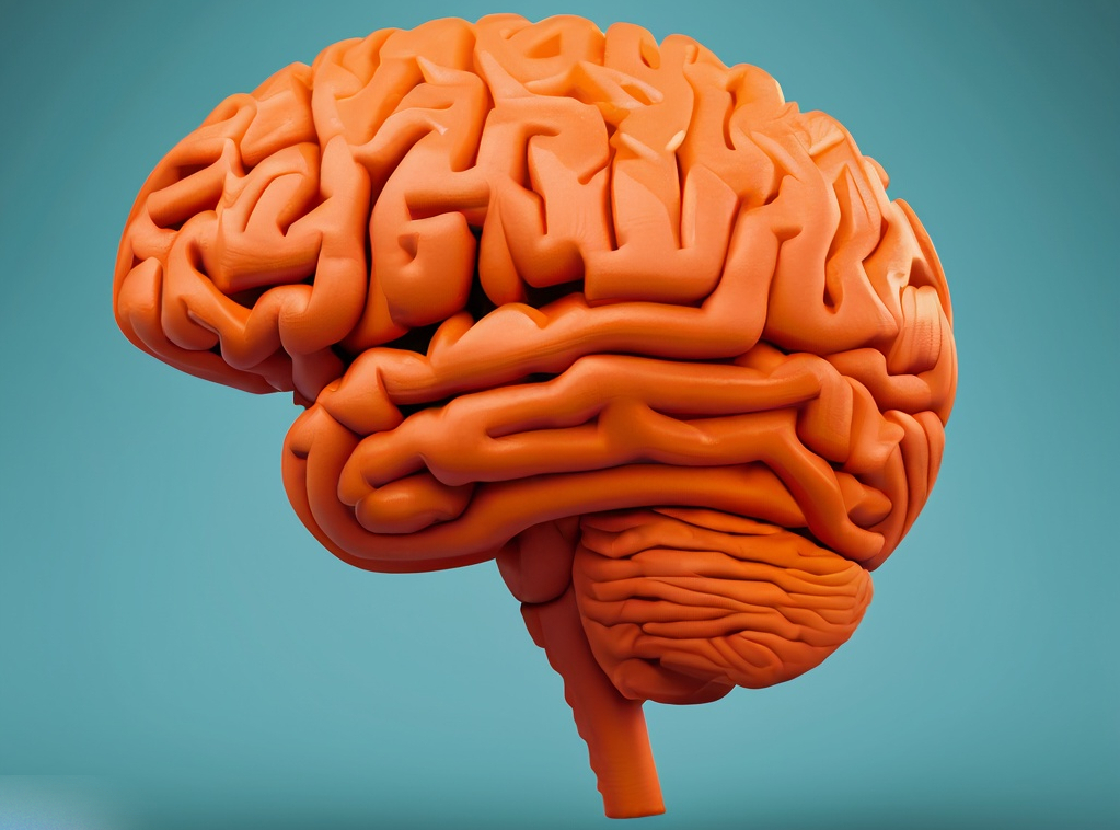 Briumvi 25 mg/ml, Konzentrat zur Herstellung einer Infusionslösung