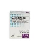 Phenylephrin Aguettant 0,1 mg/ml, solution injectable/pour perfusion