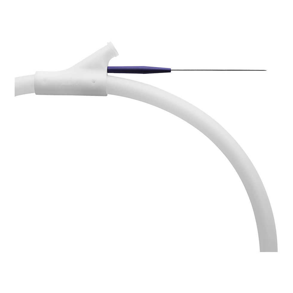Straight Fixed Core Wire Guide, 1 Each