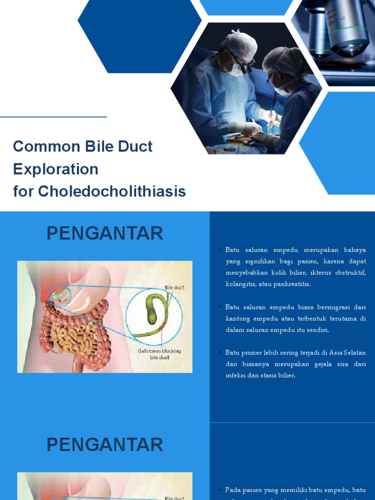 Nathanson Cystic/common Bile Duct Exploration Set, 1 Set