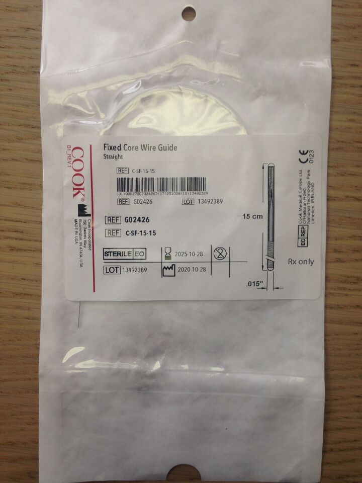Exchange Fixed Core Wire Guide, 1 Each