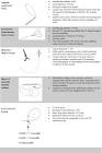 Lead Extraction Femoral Helical Loop Basket Td Wire Guide, 1 Set