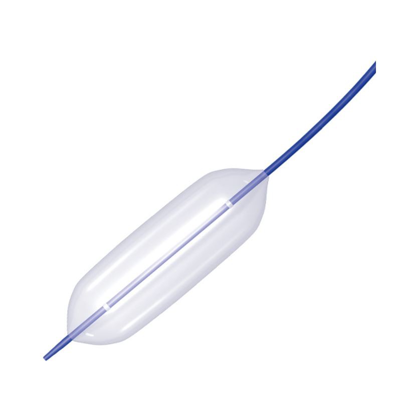 Glo-tip Ii Double Lumen Ercp Catheter, 1 Each