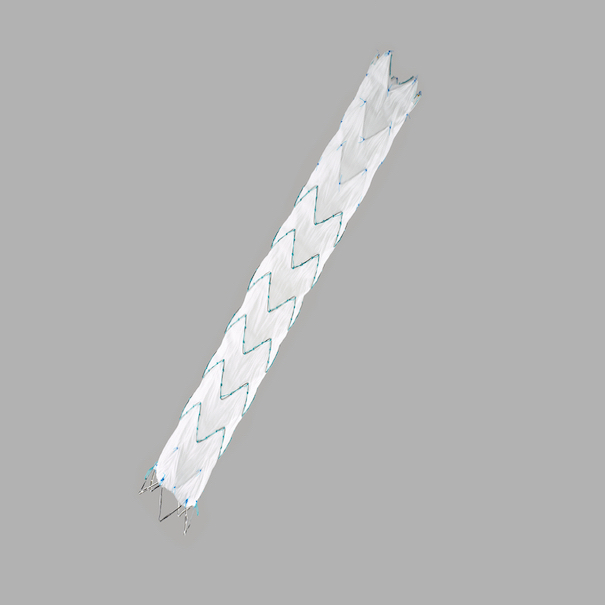 Zenith Alpha™ Thoracic Endovascular Graft Distal Extensions, 1 Each