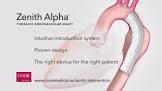 Zenith Alpha™ Thoracic Endovascular Graft Distal Components, 1 Each