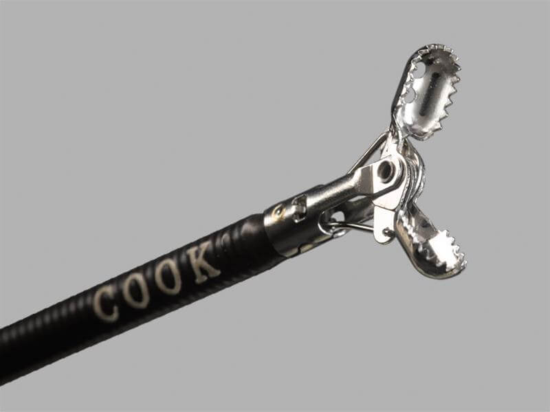 Captura Pro™ Biopsy Forceps With Spike, 1 Each