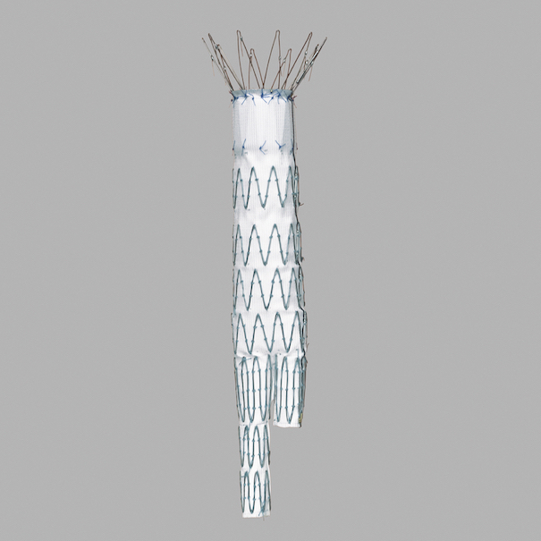 Zenith Flex Aui Aaa Endovascular Graft, 1 Each