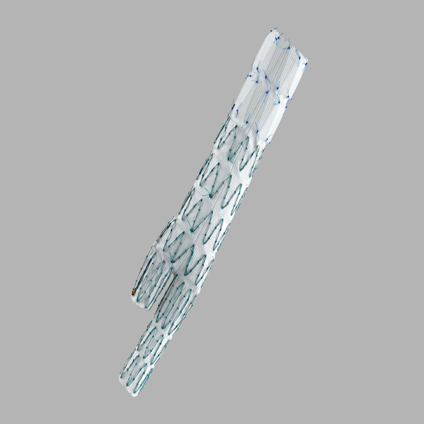 Zenith Universal Distal Body Endovascular Graft, 1 Each