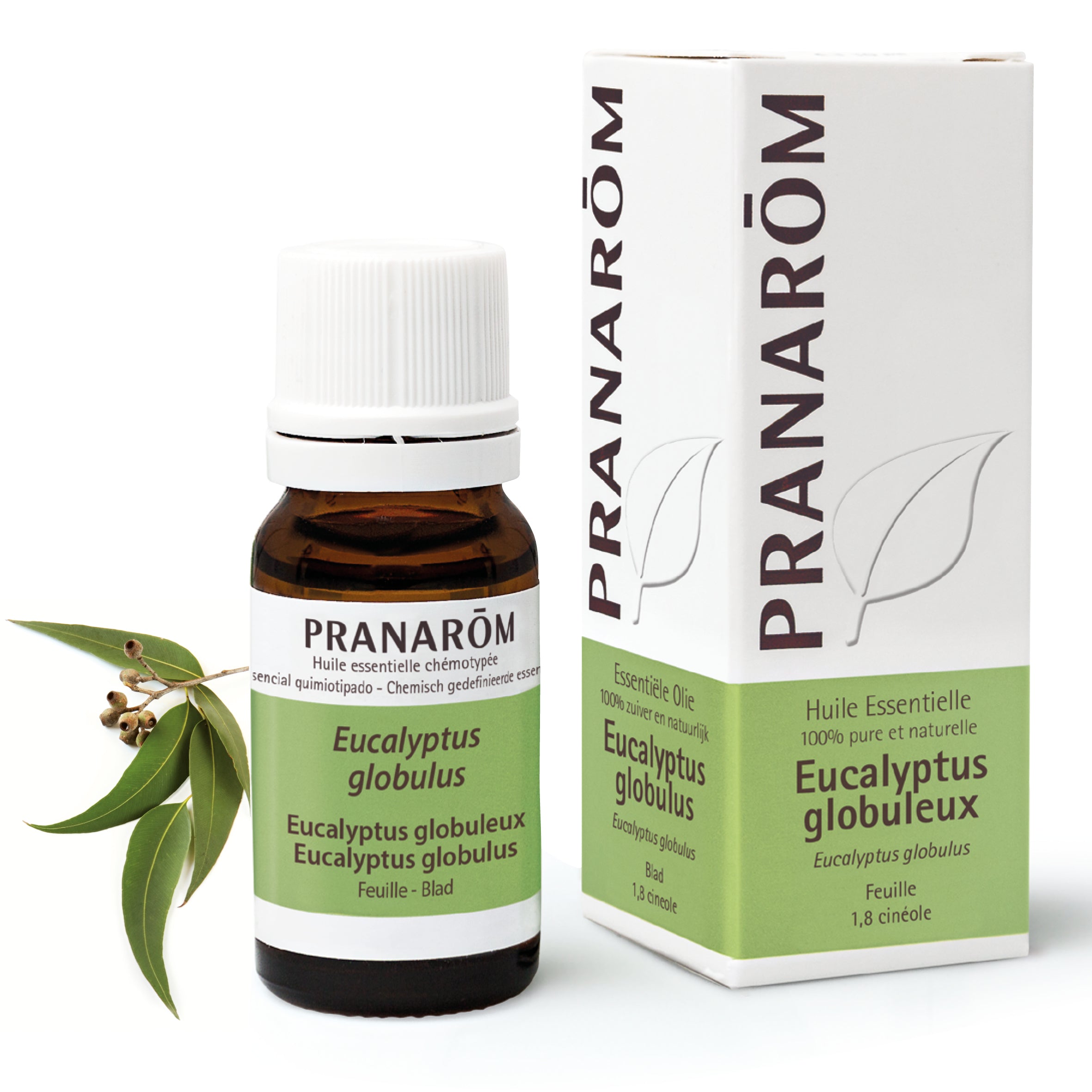 PRANAROM eucalyptus globuleux huil ess bio 10 ml
