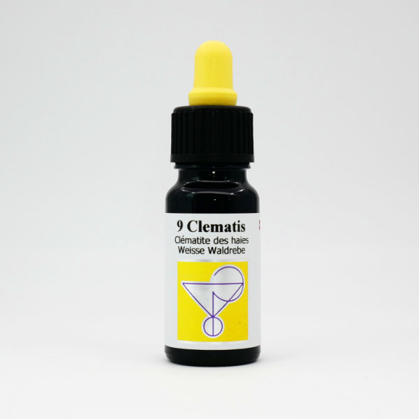ODIN 09 Clematis (Clématite des haies) fleur de Bach 10 ml
