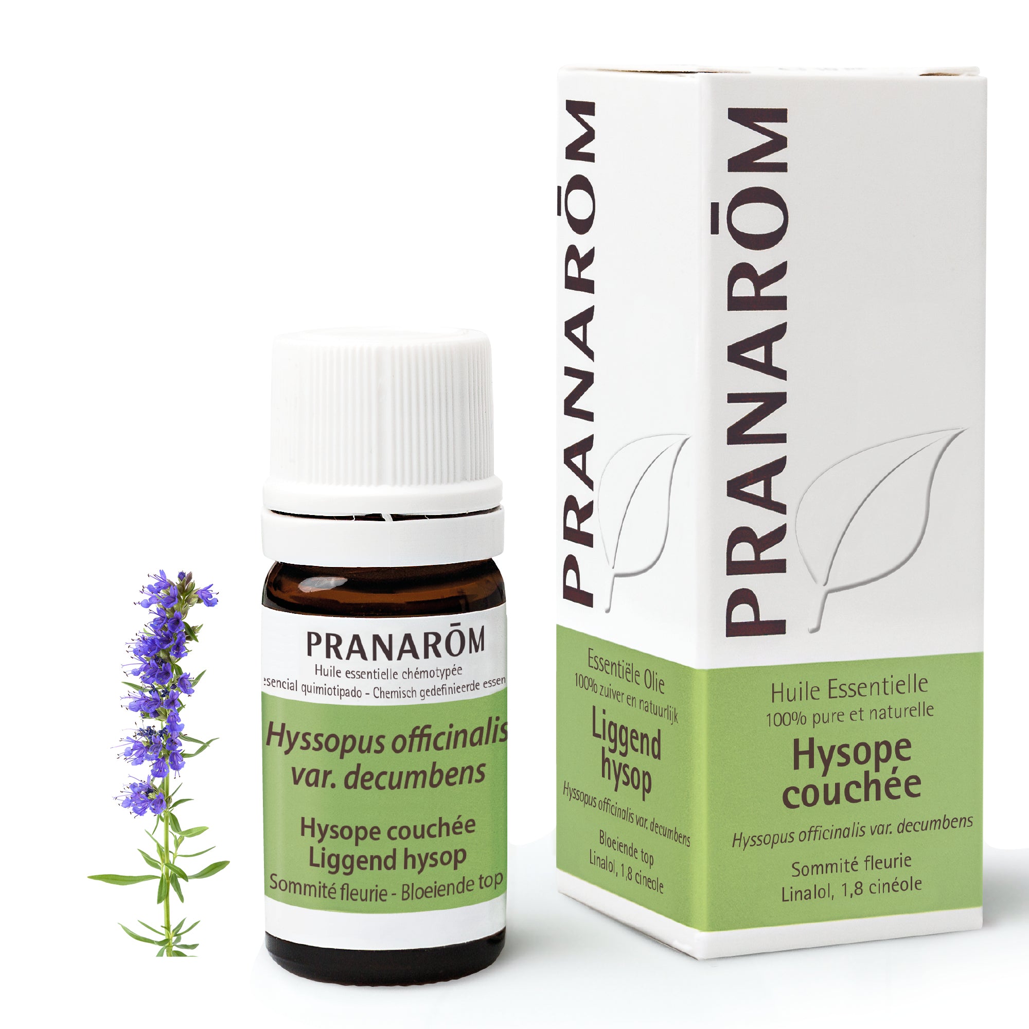 PRANAROM Huile Essentielle d'Hysope couchée 5 ml