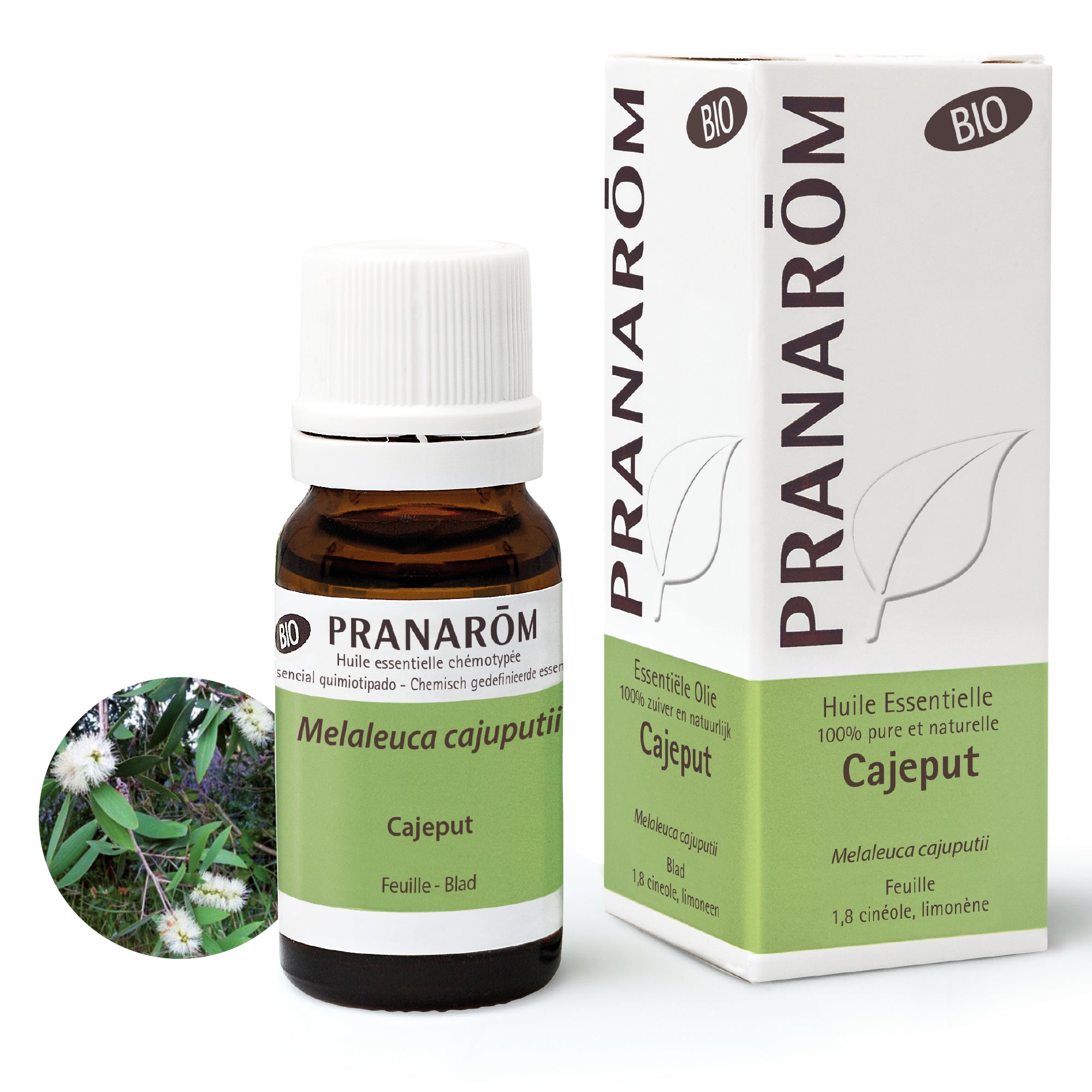 PRANAROM Huile Essentielle de Cajeput - Bio 10 ml