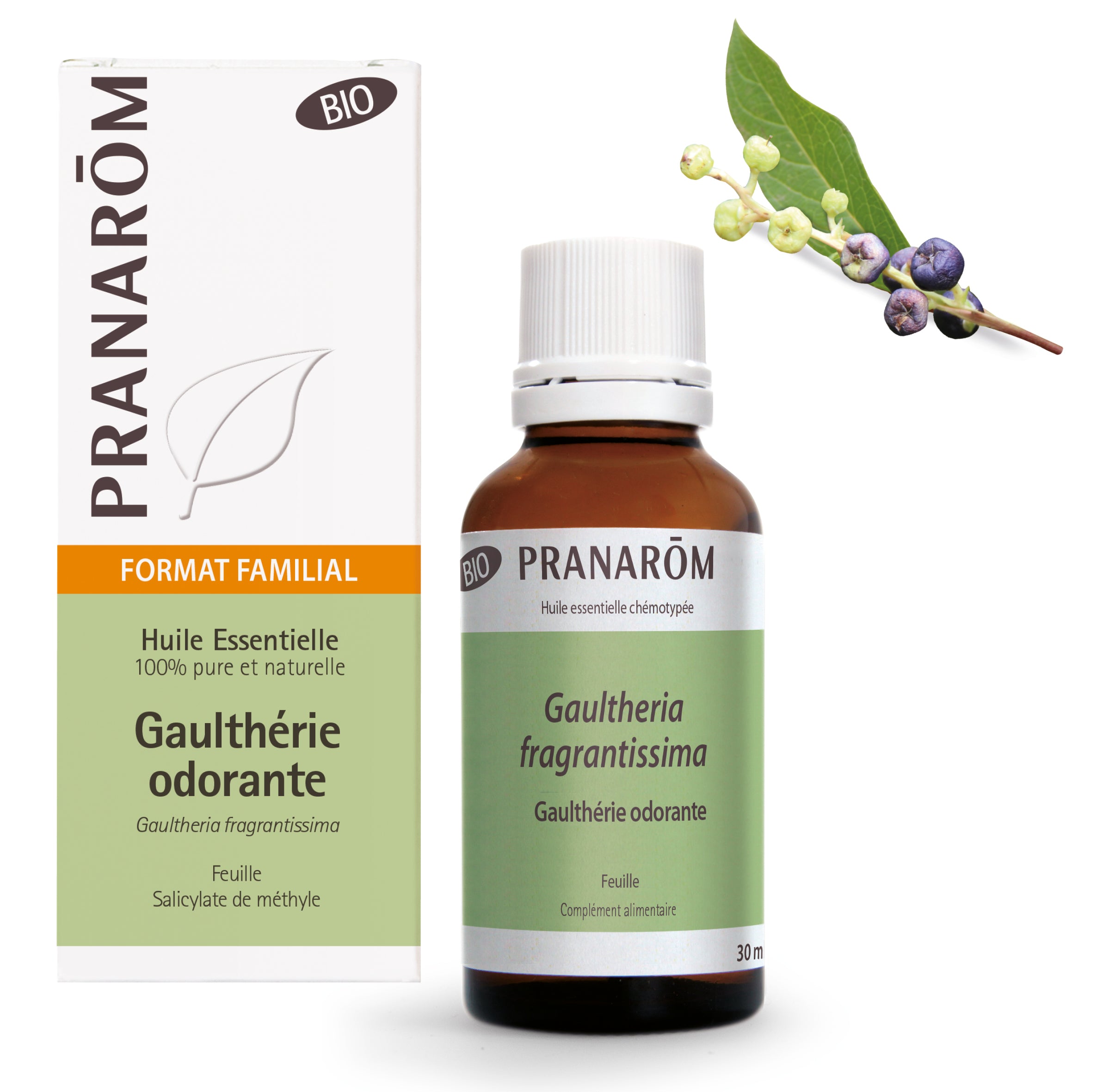 PRANAROM Huile Essentielle de Gaulthérie odorante - grand format - Bio 30 ml