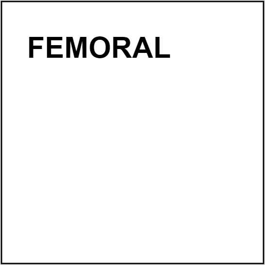 Femoral PS Box Guide