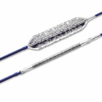ARCH FAST DEG STENT 10FR8CM BPS34080F
