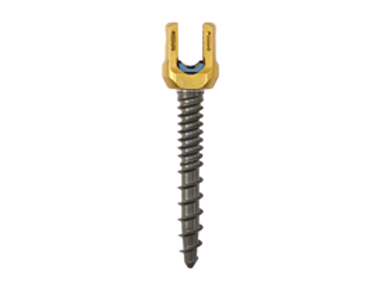 SCREW 55840006545 5.5/6 MAS 6.5X45 CC .