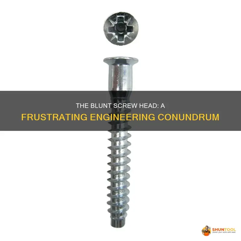 SCREW G3600506 OC BLUNT 5.0 X 6MM