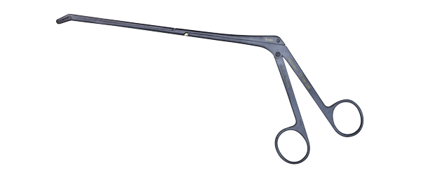 RONGUER 906-522 PITUITARY LONG UPBITING
