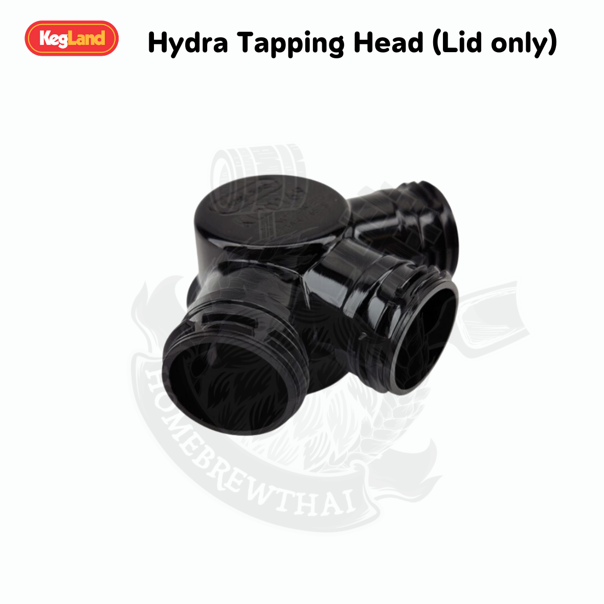 CASE 9790919 SELF TAPPING LID
