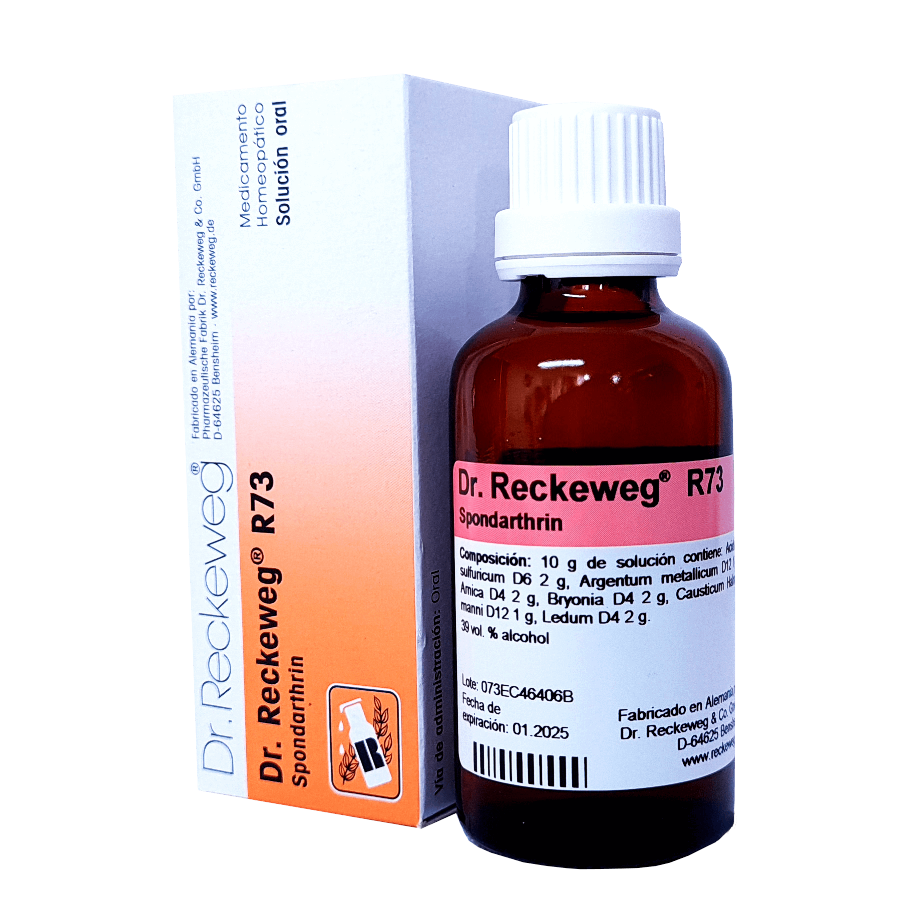 RECKEWEG R73 Spondarthrin gouttes fl 50 ml