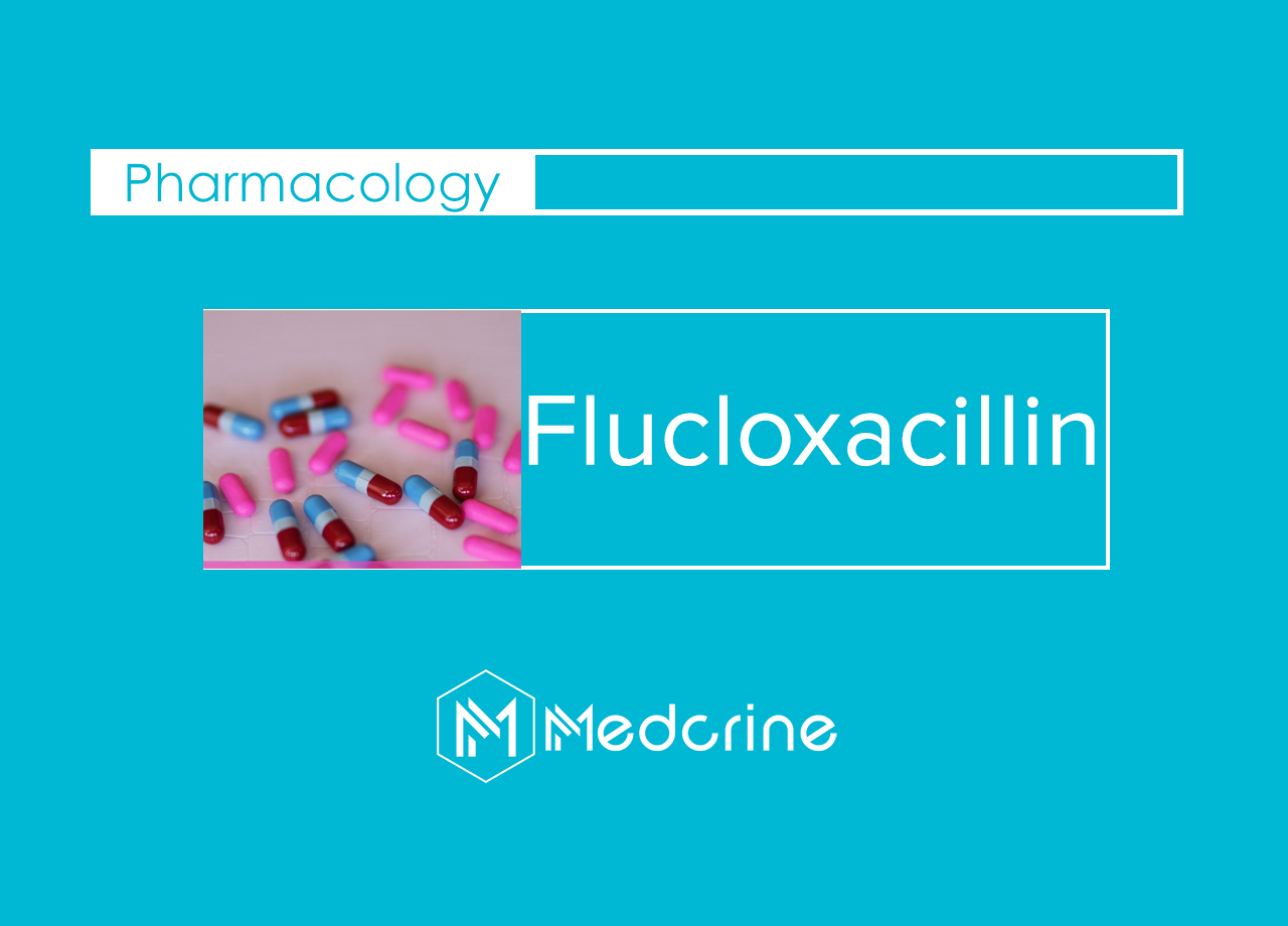 Flucloxacilline Stragen 2 g, poudre pour solution injectable / pour perfusion