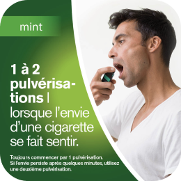Nicorette Mint, Spray zur Anwendung in der Mundhöhle