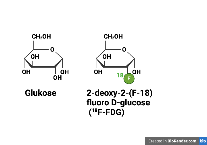 18F-Fluoroglukose ZRP 0.5 - 5 GBq/ml, Injektionslösung zur i.v. Applikation